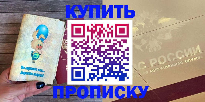 прописка поиск в Светогорске